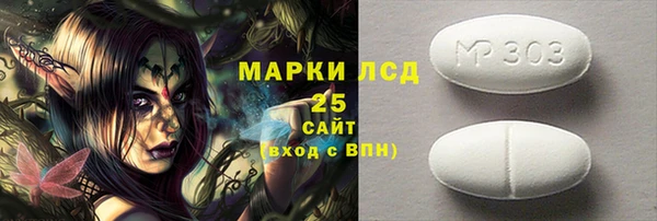 PSILOCYBIN Аркадак