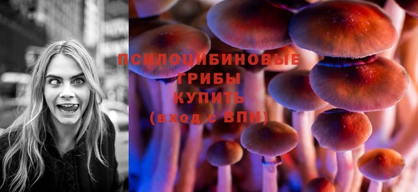 PSILOCYBIN Аркадак