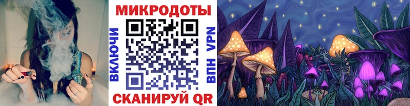 Галлюциногенные грибы MAGIC MUSHROOMS  Тогучин 