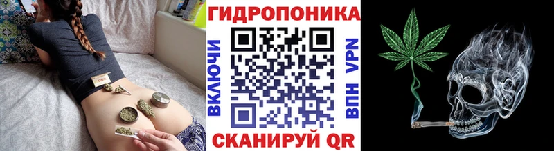 Бошки марихуана семена  Тогучин 